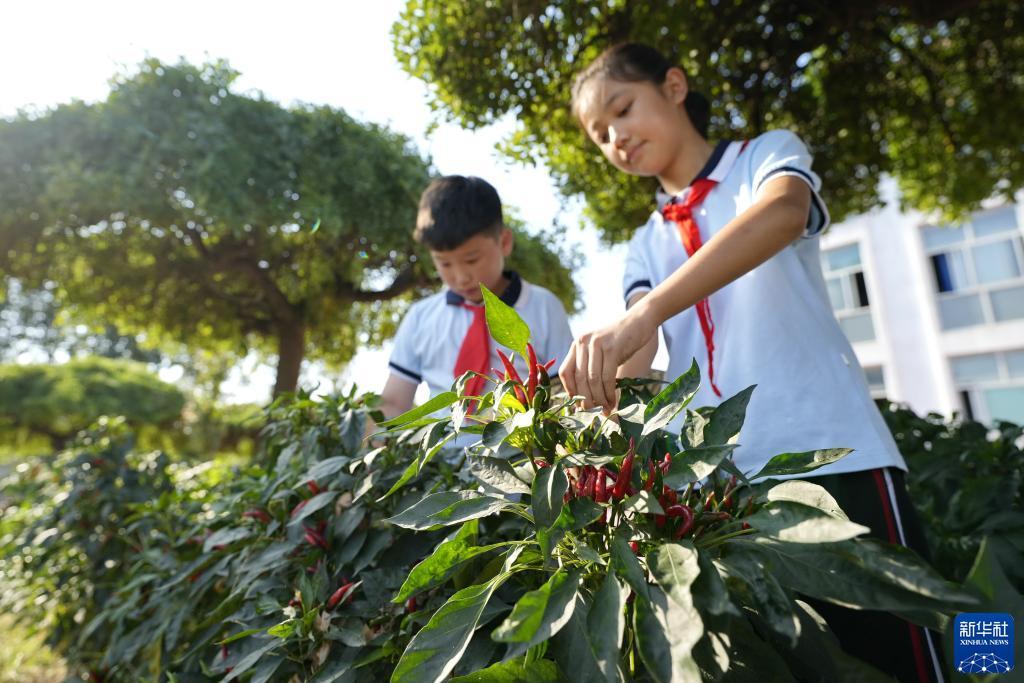 2025白菜网体验金